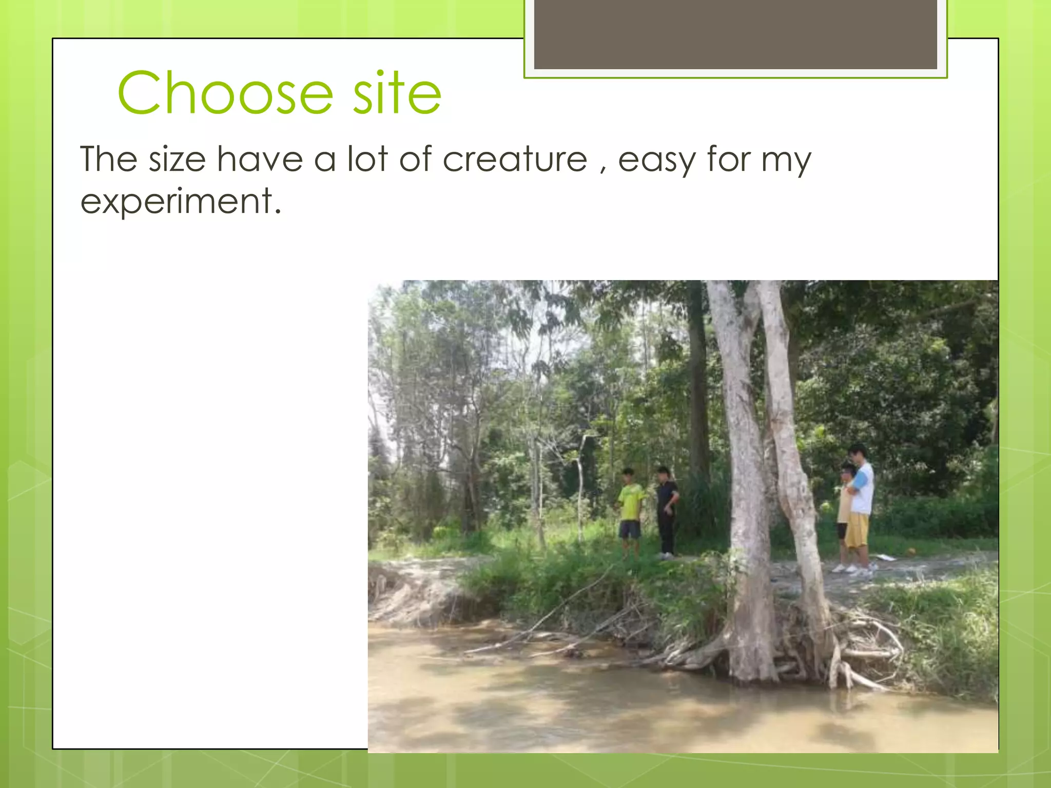 Choose site
The size have a lot of creature , easy for my
experiment.
 