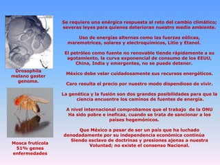 Se requiere una enérgica respuesta al reto del cambio climático;
severas leyes para quienes deterioran nuestro medio ambiente.

Uso de energías alternas como las fuerzas eólicas,
maremotríces, solares y electroquímicos, Litio y Etanol.
El petróleo como fuente no renovable tiende rápidamente a su
agotamiento, la curva exponencial de consumo de los EEUU,
China, India y emergentes, no se puede detener.
Drosophila
melano gaster
genoma.

México debe velar cuidadosamente sus recursos energéticos.
Caro resulta el precio por nuestro modo dispendioso de vivir.
La genética y la fusión son dos grandes posibilidades para que la
ciencia encuentre los caminos de fuentes de energía.
A nivel internacional comprobamos que el trabajo de la ONU
Ha sido pobre e ineficaz, cuando se trata de sancionar a los
países hegemónicos.

Mosca frutícola
51% genes
enfermedades

Que México a pesar de ser un país que ha luchado
denodadamente por su independencia económica continúa
Siendo esclavo de doctrinas y presiones ajenas a nuestra
Voluntad; no existe el consenso Nacional.

 