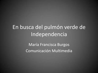 En busca del pulmón verde de
       Independencia
      María Francisca Burgos
     Comunicación Multimedia
 