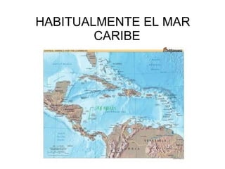 HABITUALMENTE EL MAR CARIBE 