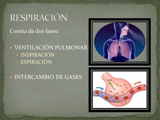 Consta de dos fases:
 VENTILACIÓN PULMONAR
 INSPIRACIÓN
 ESPIRACIÓN
 INTERCAMBIO DE GASES
 