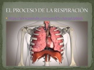  https://www.youtube.com/watch?v=Anv59Upbb5k
 