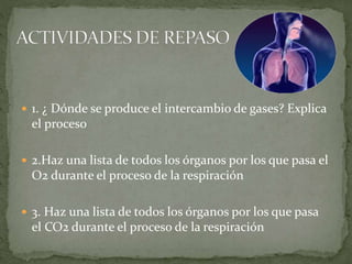  1. ¿ Dónde se produce el intercambio de gases? Explica
el proceso
 2.Haz una lista de todos los órganos por los que pasa el
O2 durante el proceso de la respiración
 3. Haz una lista de todos los órganos por los que pasa
el CO2 durante el proceso de la respiración
 