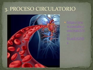  https://ww
w.youtube.c
om/watch?v
=-
8Lu1E7GNB
s
3. PROCESO CIRCULATORIO
 