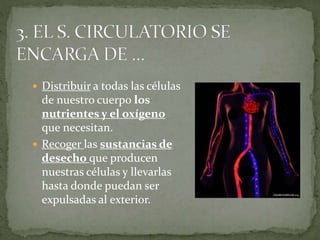 Distribuir a todas las células
de nuestro cuerpo los
nutrientes y el oxígeno
que necesitan.
 Recoger las sustancias de
desecho que producen
nuestras células y llevarlas
hasta donde puedan ser
expulsadas al exterior.
 
