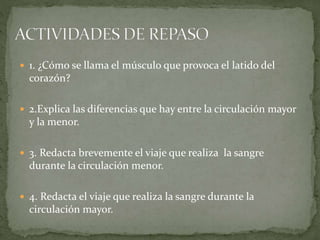  1. ¿Cómo se llama el músculo que provoca el latido del
corazón?
 2.Explica las diferencias que hay entre la circulación mayor
y la menor.
 3. Redacta brevemente el viaje que realiza la sangre
durante la circulación menor.
 4. Redacta el viaje que realiza la sangre durante la
circulación mayor.
 