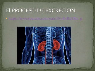  https://www.youtube.com/watch?v=f6rJ83TRm_g
 