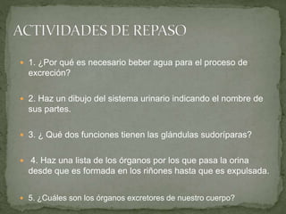  1. ¿Por qué es necesario beber agua para el proceso de
excreción?
 2. Haz un dibujo del sistema urinario indicando el nombre de
sus partes.
 3. ¿ Qué dos funciones tienen las glándulas sudoríparas?
 4. Haz una lista de los órganos por los que pasa la orina
desde que es formada en los riñones hasta que es expulsada.
 5. ¿Cuáles son los órganos excretores de nuestro cuerpo?
 