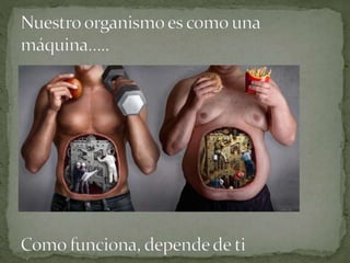 EXPLORANDO NUESTRO CUERPO