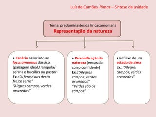 Luís de Camões, Rimas – Síntese da unidade
 