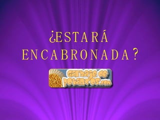 ¿ESTARÁ ENCABRONADA? 