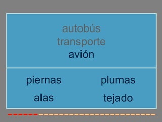 autobús 
transporte 
avión 
piernas plumas 
alas 
tejado 
 