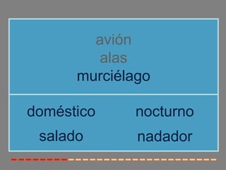 avión
alas
murciélago
salado
doméstico nocturno
nadador
 