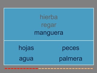 hierba
regar
manguera
agua
hojas peces
palmera
 
