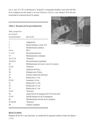 Las s. exp. 47 a 50. se destinaron a "práctica", corrigiendo detalles como tirar del hilo
de la campana con las manos y no con el hocico. Con la s. exp. número 50 se dio por
terminada la construcción de la cadena.




Tabla 1. Resumen de los procedimientos

Núm. progresivo
de sesiones
experimentales         Ejecución

1                      Adaptación
2                      Ruido bebedero como S D                                           Figura 4. FR-5 en la palanca
3                      Moldeamiento palanca
4-5-6                  FR-5
7 -a 14                Discriminación luz
15                     Moldeamiento columpio
16-17-18               "Práctica"
19-20-21               Discriminación zumbador
22                     Moldeamiento de tocar y mover la canica
23-24                  "Práctica"
25                     Apertura del hoyo
26                     Empujar por el hoyo
27                     Primera reducción del hoyo
28                     Reducción a 1 cm
29-30                  Aumento a 4 cm
31                     Reducción a 3 cm
32                     Reducción a 2 cm
33                     Reducción a 1 cm
34-35                  "Práctica"
36                     Aparición de la manguera (0.10 cm de alto)
37-45                  Subida progresiva de la manguera
46                     Moldeamiento de tirar de la campana
47-48-49               “Práctica"
50                     Cadena completa



RESULTADOS
Después de las 50 s. exp. descritas, se condicionó la siguiente cadena (véanse las figuras
1 a 5).
 