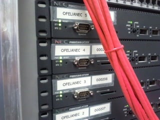 Proves
Commutadors de
gamma alta:
NEC IP8800




                 8
 