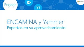 Expertos en su aprovechamiento
 