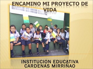   INSTITUCION EDUCATIVA CARDENAS MIRRIÑAO 