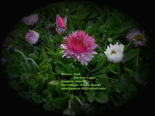 Música- Você Eduardo Lages Imagens- Internet Formatação- Amélia Soares [email_address] 