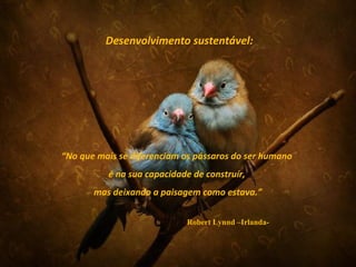 Desenvolvimento sustentável:




“No que mais se diferenciam os pássaros do ser humano
          é na sua capacidade de construír,
       mas deixando a paisagem como estava.”

                            Robert Lynnd –Irlanda-
 
