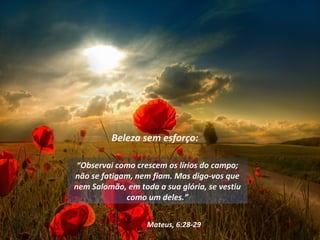 Beleza sem esforço:

 “Observai como crescem os lírios do campo;
não se fatigam, nem fiam. Mas digo-vos que
nem Salomão, em toda a sua glória, se vestiu
             como um deles.”


                   Mateus, 6:28-29
 
