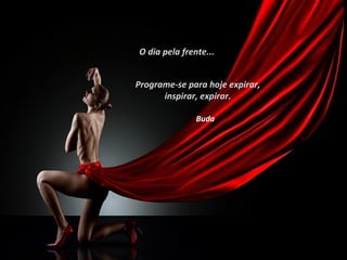 O dia pela frente...


Programe-se para hoje expirar,
      inspirar, expirar.

               Buda
 