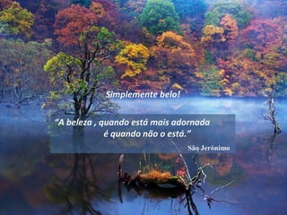 Simplemente belo!

“A beleza , quando está mais adornada
             é quando não o está.”
                                São Jerónimo
 