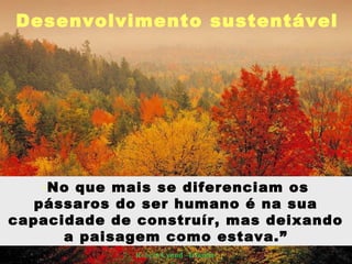 Desenvolvimento sustentável
“No que mais se diferenciam os
pássaros do ser humano é na sua
capacidade de construír, mas deixando
a paisagem como estava.”
Robert Lynnd –Irlanda-
 
