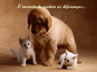 O encanto de aceitar as diferenças... 
