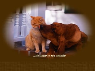 ...de amar e ser amado 