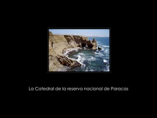 La Catedral de la reserva nacional de Paracas  