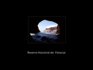 Reserva Nacional de  Paracas  