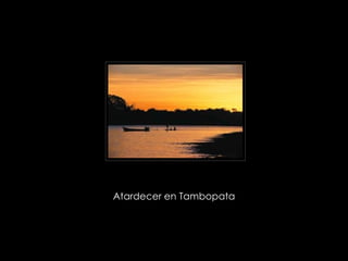 Atardecer en Tambopata  