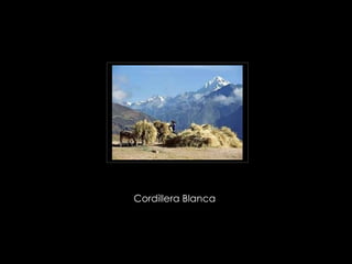 Cordillera Blanca  