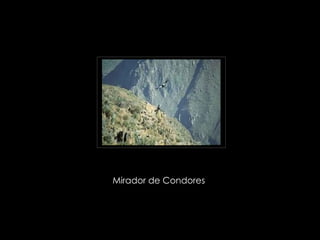 Mirador de Condores  