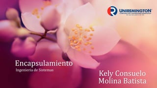 Encapsulamiento
Ingenieria de Sistemas
Kely Consuelo
Molina Batista
 