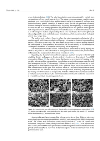Encapsulation_ Review paper, used for researhc scholars | PDF
