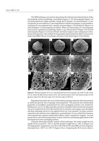 Encapsulation_ Review paper, used for researhc scholars | PDF