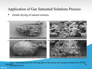 Application of Gas Saturated Solutions Process
• Gentle drying of natural extracts
5/9/2015 12
Fig 5: Scanning electron micrographs of the green tea samples produced by PGSS
drying process
 