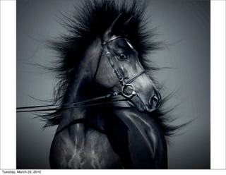 Tuesday, March 23, 2010
 