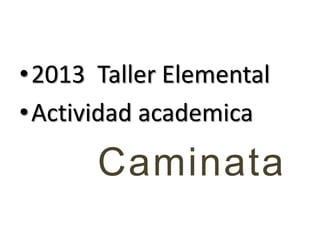 •2013 Taller Elemental
•Actividad academica

      Caminata
 