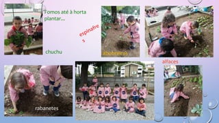 Fomos até à horta
plantar...
chuchu abobreiras
alfaces
rabanetes
 