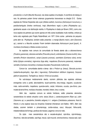 Parque Nacional da Serra do Divisor              Plano de Manejo – Fase 2           Encarte 5




precatoria) e o buriti (Mauritia flexuosa), nas áreas sujeitas à inundação. A ocorrência de babaçu é
rara. As palmeiras podem formar extensos grupamentos transversais na direção E-O. Outras
espécies de Palmae freqüentes são a jaci (Attalea wallisii), murumuru (Astrocaryum murumuru), a
paxiúba-barriguda (Iriartea ventricosa), inajá (Maximiliana regia) e jarina (Phytelephas sp.),
geralmente acaule e de distribuição restrita. A Phytelephas é citada por Brown (1991), como uma
nova espécie de palmeira que ocorre apenas em três outras localidades muito restritas, embora já
tenha sido registrada pelo Projeto RadamBrasil, em 1977. Entre outras palmeiras de pequeno
porte além da Phytelephas, também estão presentes a marajá (Bactris maior), ubim (Geonoma
sp.), caranaí e a Mauritia aculeata. Foram também observadas Astrocaryum jauari (jauari), A.
mumbaca (mumbaca) e Attalea excelsa (ouricuri).
          As espécies mais comuns da comunidade de floresta aberta são a abiorana-branca
(Pouteria guianensis), abiorana-vermelha (Prieurella prieurii), andirobarana (Guarea kunthii), breu-
vermelho (Protium decandrum), caripé (Liacania pruinosa), caximbeiro (Cariniana rubra), envira-
biribá (Xylopia aromatica), ingá-xixica (Inga alba), mapatirana (Pourouma paraensis), matamatá-
vermelho (Cariniana micrantha) e morácea-chocolate (Pseudomedia multinervis).
          Comum às comunidades aberta e densa são o Protium sp. (breus), Sterculia pruriens
(castanha-de-periquito), Inga alba ( inga-xixica), Pythecelobium latifolium (ingarana), Caryocar
glabrum (piquiarana), Tachigalia sp. (taxis) e Virola sp (ucuubas).
          No sub-bosque medianamente aberto, ocorrem plântulas das espécies arbóreas
emergentes como a janitá, abio-balatinha, tauari-cachimbo, breu-manga, visgueiro, ucuuba-da-
mata, cedro-vermelho, mapatirana, quaruba-cedro, caripé, timborana, ucuuba, pau-d'arco, pau-
mulato-da-terra-firme, morácea chocolate, morototó, tinteiro, breu e outras.
          Além das          espécies comuns ao estrato herbáceo, estão presentes elementos
característicos do estrato arbustivo como: abuta (Abuta .), canela-de-jacamim (Piper sp.), ubim
(Geonoma sp.) e paxiubinha (Iriartella setigera). A I. setigera (Catoblastus pubescens, Karst &
Wendl.) é uma espécie típica da Amazônia Ocidental (Henderson and Ballick, 1987). Além das
citadas, ocorrem também a pimenta-longa, cordia-nodosa, cacuí, titica-pari, folha-cantã,
melastomatácea-de-formiga, parafuso-de-macaco, pagamia e erva do mato.
          Os cipós         mais característicos são a escada-de-jabuti, cipó-titica, cipó-timboaçu,
Strychnos, rabo-de-camaleão, cipó-fogo, tracuá, cipó-mucunã, veronica-branca, macaca-cipó, cipó-


5 - 101
 