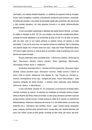 Parque Nacional da Serra do Divisor          Plano de Manejo – Fase 2           Encarte 5




interrompido, com clareiras bastante freqüentes, e a existência de pequenas linhas de drenagem
tornam menos homogênea a superfície, provavelmente contribuindo para aumentar a diversidade.
As epífitas são escassas, e boa porção da diversidade vegetal está concentrada, além das árvores
e cipós grandes (escassos), nos cipós pequenos (comuns) e no estrato herbáceo-arbustivo
(bastante denso).
          A outra comunidade caracterizada e detectada pelo padrão textural diferente na imagem
de satélite foi estudada na AER (Pt. 34), que constatou uma fisionomia completamente distinta,
composta de árvores espalhadas e um emaranhado de cipós com até 10 m de altura. As árvores,
além dos cipós, eram na sua maioria palmeiras ou espécies comuns em clareiras ou áreas
secundárias. O solo era de areia clara, com espessa camada de serapilheira. Não foi descartada
uma possível relação com a floresta aberta com cipós citada pelo Projeto RadamBrasil (Brasil,
1977) para a região coluvionar no sopé da Serra do Juruá-Mirim devido a semelhança com o que é
descrito para aquela formação.
          Os cipós observados nesta comunidade foram o Desmoncus (Jacitara), Davilla (cipó de
fogo), Toracocarpus, Bauhinia, Annona scandens, Smilax (japecanga), Bignoniaceaes,
Dioscoriaceae, Fevillea, Acacia e o feijão-duro.
          As palmeiras observadas foram a Socratea exhorrriza (paxiubinha), Oenacarpus mapora
(bacaba), Euterpe precatoria (açaí), Astrocaryum murumuru, Attalea (ouricuri) e Bactris sp.
(ubim). Entre as árvores, destacam-se duas espécies de Inga, Pouroma sp., Cecropia sp.,
Erythrina, Onichopethalum (envira caju), Tachigalli (taxi preto), Protium (breu-mescla) e Ceiba
(samaúma barriguda). No estrato arbustivo e herbáceo, foram observadas várias Rubiáceas
(Palicourea), Olyra sp. e Maranthaceas.
          A outra comunidade estudada (Pt. 33) corresponde a uma fisionomia da floresta aberta,
chamada localmente de “baboca”; foi estudada nas imediações da Colocação Gustavo (margem
direita do Riozinho das Minas). Nesta comunidade, os solos pouco permeáveis permitem o acúmulo
de água durante o período chuvoso. O dossel alcança em média 30 m, havendo um predomínio de
Melastomataceae, Rubiaceae e Myrtaceae até cerca de 10 m. No estrato arbóreo, as árvores mais
freqüentes são o Sclerobioum (taxi vermelho), Hevea , pupuí, Cedrela odorata, almesqueira,
gurgui, manipusa, carnaúba preta, sernambi branco, marupá preto, xixá, castanha fedorenta, cipó
piaca, breu mescla, ucuuba da folha grande, muiratinga da folha miúda, gitó branco, gitó preto,



5 - 114
 