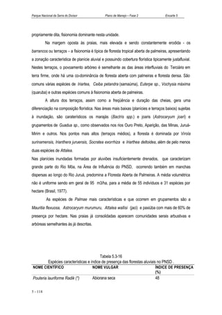 Parque Nacional da Serra do Divisor            Plano de Manejo – Fase 2               Encarte 5




propriamente dita, fisionomia dominante nesta unidade.
          Na margem oposta às praias, mais elevada e sendo constantemente erodida - os
barrancos ou terraços - a fisionomia é típica de floresta tropical aberta de palmeiras, apresentando
a zonação característica de planície aluvial e possuindo cobertura florística tipicamente justafluvial.
Nestes terraços, o povoamento arbóreo é semelhante as das áreas interfluviais do Terciário em
terra firme, onde há uma co-dominância de floresta aberta com palmeiras e floresta densa. São
comuns várias espécies de Iriartea, Ceiba petandra (samaúma), Euterpe sp., Vochysia máxima
(quaruba) e outras espécies comuns à fisionomia aberta de palmeiras.
          A altura dos terraços, assim como a freqüência e duração das cheias, gera uma
diferenciação na composição florística. Nas áreas mais baixas (planícies e terraços baixos) sujeitas
à inundação, são caraterísticos os marajás (Bactris spp.) e joaris (Astrocaryum joari) e
grupamentos de Guadua sp., como observados nos rios Ouro Preto, Aparição, das Minas, Juruá-
Mirim e outros. Nos pontos mais altos (terraços médios), a floresta é dominada por Virola
surinamensis, Irianthera juruensis, Socratea exorrhiza e Iriarthea deltoidea, além de pelo menos
duas espécies de Attalea.
Nas planícies inundadas formadas por aluviões insuficientemente drenados, que caracterizam
grande parte do Rio Môa, na Área de Influência do PNSD, ocorrendo também em manchas
dispersas ao longo do Rio Juruá, predomina a Floresta Aberta de Palmeiras. A média volumétrica
não é uniforme sendo em geral de 95 m3/ha, para a média de 55 indivíduos e 31 espécies por
hectare (Brasil, 1977).
           As espécies de Palmae mais características e que ocorrem em grupamentos são a
Mauritia flexuosa, Astrocaryum murumuru, Attalea wallisi (jaci) e paxiúba com mais de 60% de
presença por hectare. Nas praias já consolidadas aparecem comunidades serais arbustivas e
arbóreas semelhantes às já descritas.




                                             Tabela 5.3-16
            Espécies características e índice de presença das florestas aluviais no PNSD .
NOME CIENTÍFICO                         NOME VULGAR                             ÍNDICE DE PRESENÇA
                                                                                (%)
Pouteria lauriforme Radik (*)           Abiorana seca                           48


5 - 118
 