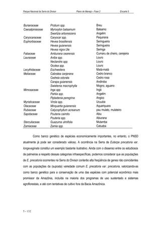 Parque Nacional da Serra do Divisor            Plano de Manejo – Fase 2               Encarte 5




Burseraceae                 Protium spp.                           Breu
Caesalpiniaceae             Myroxylon balsamum                     Balsamo
                            Swartzia arborescens                   Angelim
Caryocaraceae               Caryocar spp.                          Pequirana
Euphorbiaceae               Hevea brasiliensis                     Seringueira
                            Hevea guianensis                       Seringueira
                            Hevea nigra Ule                        Seringa
Fabaceae                    Amburana cearensis                     Cumaru de cheiro, cerejeira
Lauraceae                   Aniba spp.                             Louro
                            Nectandra spp.                         Louro
                            Ocotea spp.                            Louro
Lecythidaceae               Eschweilera                            Matá-matá
Meliaceae                   Cabralea canjerana                     Cedro branco
                            Cedrela odorata                        Cedro rosa
                            Carapa guianensis                      Andiroba
                            Swietenia macrophylla                  Mogno, aguano
Mimosaceae                  Inga spp.                              Ingá
                            Parkia spp.                            Angelim
                            Piptadenia peregrina                   Angico
Myristicaceae               Virola spp.                            Ucuuba
Olacaceae                   Minquartia guianensis                  Aquariquara
Rubiaceae                   Calycophyllum acreanum                 pau mulato, mulateiro
Sapotaceae                  Pouteria caimito                       Abiu
                            Pouteria spp.                          Abiurana
Sterculiaceae               Guazuma ulmifolia                      Mutamba
Zamiaceae                   Zamia spp.                             Catuaba


          Como banco genético de espécies economicamente importantes, no entanto, o PNSD
atualmente já pode ser considerado valioso. A ocorrência na Serra de Euterpe precatoria var.
longevaginata constitui um exemplo bastante ilustrativo. Ainda com o dissenso entre os estudiosos
de palmeiras a respeito dessas categorias infraespecíficas, podemos considerar que as populações
de E. precatoria ocorrentes na Serra do Divisor conterão alta freqüência de genes não coincidentes
com as populações da (suposta) variedade comum E. precatoria var. precatoria, valorizando-as
como banco genético para a conservação de uma das espécies com potencial econômico mais
promissor da Amazônia, incluída na maioria dos programas de uso sustentado e sistemas
agroflorestais, e até com tentativas de cultivo fora da Bacia Amazônica.




5 - 132
 