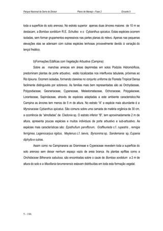 Parque Nacional da Serra do Divisor           Plano de Manejo – Fase 2            Encarte 5




toda a superficie do solo arenoso. No estrato superior apenas duas árvores maiores de 10 m se
destacam, a Bombax sordidum R.E. Schultes e o Cybianthus spicatus. Estas espécies ocorrem
isoladas, sem formar grupamentos expressivos nas partes planas do relevo. Apenas nas pequenas
elevações elas se adensam com outras espécies lenhosas provavelmente devido à variação do
lençol freático.


          b)Formações Edáficas com Vegetação Arbustiva (Campina):
          Sobre as       manchas arreicas em áreas deprimidas em solos Podzóis Hidromórficos,
predominam plantas de porte arbustivo, estão localizadas nos interfluvios tabulares, próximas ao
Rio Ipixuna. Ocorrem isoladas, formando clareiras no conjunto uniforme da Floresta Tropical Densa
facilmente distinguivéis por sobrevoo. As familias mais bem representadas são as Orchydaceae,
Polypodiaceae, Gesneriaceae, Cyperaceae, Melastomataceae, Ochonaceae, Polygalaceae,
Lorantaceae, Sapindaceae, através de espécies adaptadas a este ambiente caracteristico.Na
Campina as árvores tem menos de 5 m de altura. No estrato “A” a espécie mais abundante é a
Myrsinaceae Cybianthus spicatus. São comuns sobre uma camada de matéria orgânica de 30 cm,
a ocorrência de “almofadas” de Cladonia sp. O estrato inferior “B”, tem aproximadamente 2 m de
altura, apresenta poucas espécies e muitos individuos de porte arbustivo e sub-arbustivo. As
espécies mais características são: Episthufium parviflorum, Graffeurieda c.f. rupestris , remigia
ferriginea, Lagenocarpus rigidus, Maytenus c.f. laevis, Byrsonima sp, Sandemania sp, Cupania
diphylla e outras.
          Assim como na Campinarana as Gramineae e Cyperaceae revestem toda a superficie do
solo arenoso sem deixar nenhum espaço vazio de areia branca. As plantas epífitas como a
Orchidaceae Bifrenaria sabulosa, são encontradas sobre o caule de Bombax sordidum a 2 m de
altura do solo e a Maxillania tarumenensis estavam distribuídas em toda esta formação vegetal.




5 - 186
 