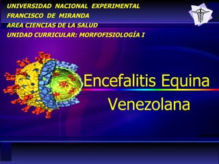 UNIVERSIDAD  NACIONAL  EXPERIMENTAL FRANCISCO  DE  MIRANDA AREA CIENCIAS DE LA SALUD UNIDAD CURRICULAR: MORFOFISIOLOGÍA I Encefalitis Equina  Venezolana 