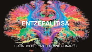 ENTZEFALITISA
DIANA HOLGUERAS ETA DANIEL LINARES
 