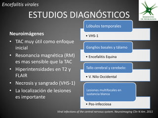 Encefalitis virales

             ESTUDIOS DIAGNÓSTICOS
                                              Lóbulos temporales
   Neuroimágenes                              • VHS-1
   • TAC muy útil como enfoque
     inicial                                  Ganglios basales y tálamo

   • Resonancia magnética (RM)                • Encefalitis Equina
     es mas sensible que la TAC
   • Hiperintensidades en T2 y                Tallo cerebral y cerebelo:

     FLAIR                                    • V. Nilo Occidental
   • Necrosis y sangrado (VHS-1)
   • La localización de lesiones               Lesiones multifocales en
                                               sustancia blanca
     es importante
                                              • Pos-infecciosa
                        Viral infections of the central nervous system. Neuroimaging Clin N Am. 2011
 